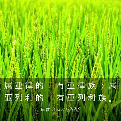 Picture 03 - 民 数 记 26:17 CUVS - 属 亚 律 的 ， 有 亚 律 族 ； 属 亚 - Bible Verse Picture