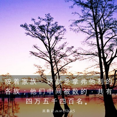 Picture 03 - 民 数 记 26:50 CUVS - 按 着 家 族 ， 这 就 是 拿 弗 他 利 - Bible Verse Picture