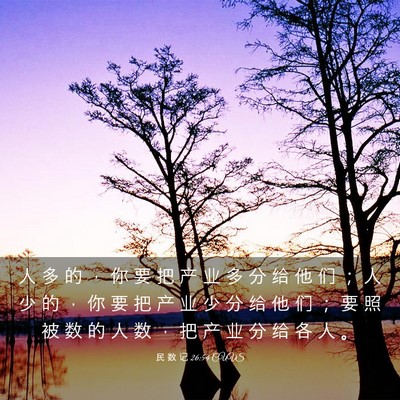 Picture 03 - 民 数 记 26:54 CUVS - 人 多 的 ， 你 要 把 产 业 多 分 给 - Bible Verse Picture