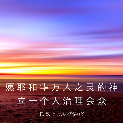 Picture 03 - 民 数 记 27:16 CUVS - 愿 耶 和 华 万 人 之 灵 的 神 ， 立 - Bible Verse Picture