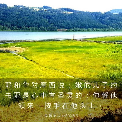 Picture 03 - 民 数 记 27:18 CUVS - 耶 和 华 对 摩 西 说 ： 嫩 的 儿 子 - Bible Verse Picture