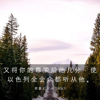 Picture 03 - 民 数 记 27:20 CUVS - 又 将 你 的 尊 荣 给 他 几 分 ， 使 - Bible Verse Picture