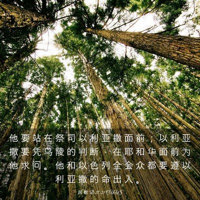 Picture 03 - 民 数 记 27:21 CUVS - 他 要 站 在 祭 司 以 利 亚 撒 面 前 - Bible Verse Picture