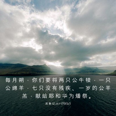 Picture 03 - 民 数 记 28:11 CUVS - 每 月 朔 ， 你 们 要 将 两 只 公 牛 - Bible Verse Picture