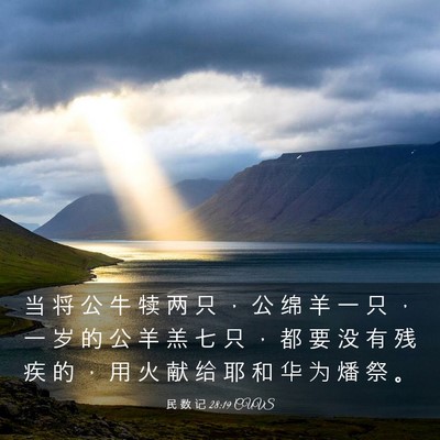 Picture 03 - 民 数 记 28:19 CUVS - 当 将 公 牛 犊 两 只 ， 公 绵 羊 一 - Bible Verse Picture