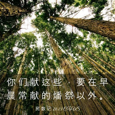 Picture 03 - 民 数 记 28:23 CUVS - 你 们 献 这 些 ， 要 在 早 晨 常 献 - Bible Verse Picture