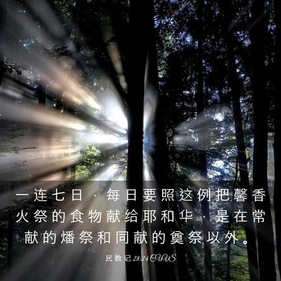 Picture 03 - 民 数 记 28:24 CUVS - 一 连 七 日 ， 每 日 要 照 这 例 把 - Bible Verse Picture