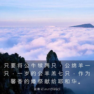 Picture 03 - 民 数 记 28:27 CUVS - 只 要 将 公 牛 犊 两 只 ， 公 绵 羊 - Bible Verse Picture