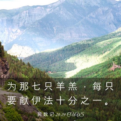 Picture 03 - 民 数 记 28:29 CUVS - 为 那 七 只 羊 羔 ， 每 只 要 献 伊 - Bible Verse Picture