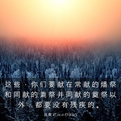 Picture 03 - 民 数 记 28:31 CUVS - 这 些 ， 你 们 要 献 在 常 献 的 燔 - Bible Verse Picture