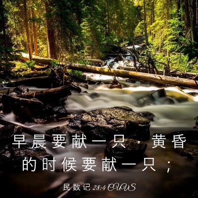 Picture 03 - 民 数 记 28:4 CUVS - 早 晨 要 献 一 只 ， 黄 昏 的 时 候 - Bible Verse Picture