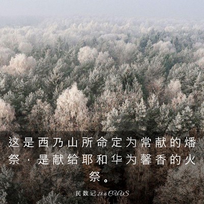 Picture 03 - 民 数 记 28:6 CUVS - 这 是 西 乃 山 所 命 定 为 常 献 的 - Bible Verse Picture