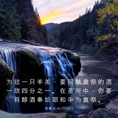 Picture 03 - 民 数 记 28:7 CUVS - 为 这 一 只 羊 羔 ， 要 同 献 奠 祭 - Bible Verse Picture