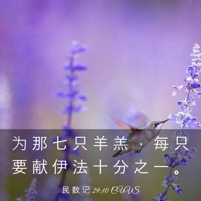 Picture 03 - 民 数 记 29:10 CUVS - 为 那 七 只 羊 羔 ， 每 只 要 献 伊 - Bible Verse Picture