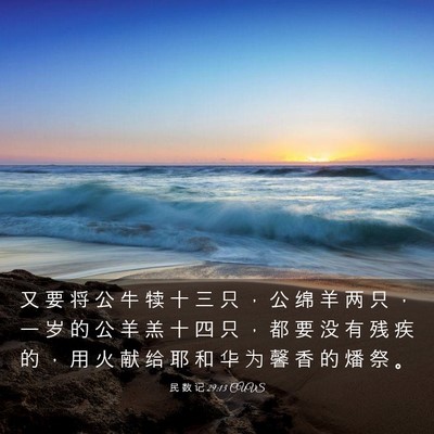 Picture 03 - 民 数 记 29:13 CUVS - 又 要 将 公 牛 犊 十 三 只 ， 公 绵 - Bible Verse Picture