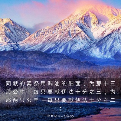 Picture 03 - 民 数 记 29:14 CUVS - 同 献 的 素 祭 用 调 油 的 细 面 ； - Bible Verse Picture