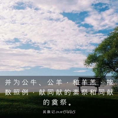 Picture 03 - 民 数 记 29:18 CUVS - 并 为 公 牛 、 公 羊 ， 和 羊 羔 ， - Bible Verse Picture