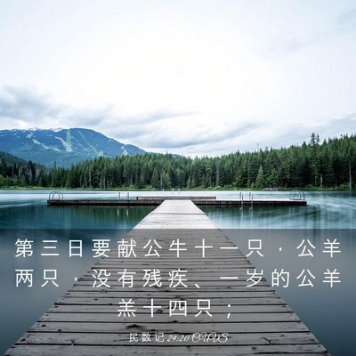 Picture 03 - 民 数 记 29:20 CUVS - 第 三 日 要 献 公 牛 十 一 只 ， 公 - Bible Verse Picture