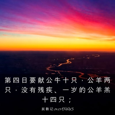 Picture 03 - 民 数 记 29:23 CUVS - 第 四 日 要 献 公 牛 十 只 ， 公 羊 - Bible Verse Picture