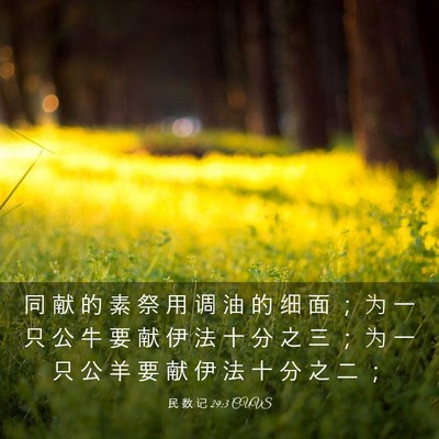 Picture 03 - 民 数 记 29:3 CUVS - 同 献 的 素 祭 用 调 油 的 细 面 ； - Bible Verse Picture