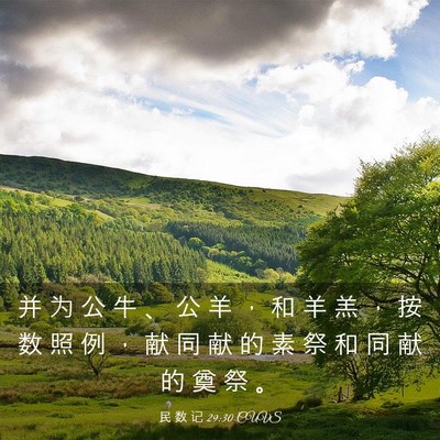 Picture 03 - 民 数 记 29:30 CUVS - 并 为 公 牛 、 公 羊 ， 和 羊 羔 ， - Bible Verse Picture
