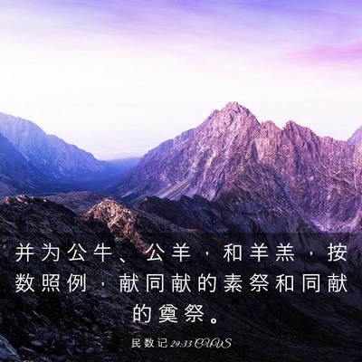Picture 03 - 民 数 记 29:33 CUVS - 并 为 公 牛 、 公 羊 ， 和 羊 羔 ， - Bible Verse Picture