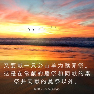 Picture 03 - 民 数 记 29:34 CUVS - 又 要 献 一 只 公 山 羊 为 赎 罪 祭 - Bible Verse Picture