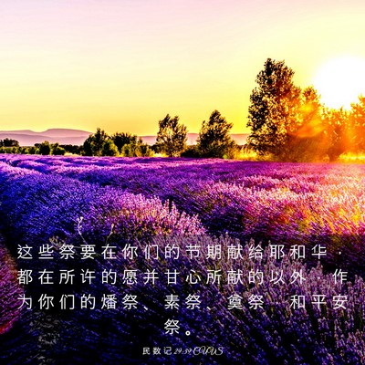 Picture 03 - 民 数 记 29:39 CUVS - 这 些 祭 要 在 你 们 的 节 期 献 给 - Bible Verse Picture