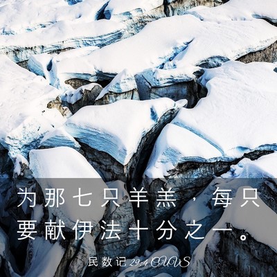 Picture 03 - 民 数 记 29:4 CUVS - 为 那 七 只 羊 羔 ， 每 只 要 献 伊 - Bible Verse Picture