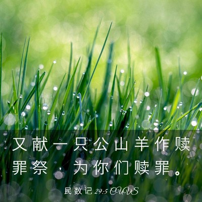 Picture 03 - 民 数 记 29:5 CUVS - 又 献 一 只 公 山 羊 作 赎 罪 祭 ， - Bible Verse Picture