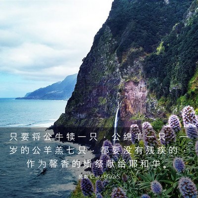 Picture 03 - 民 数 记 29:8 CUVS - 只 要 将 公 牛 犊 一 只 ， 公 绵 羊 - Bible Verse Picture