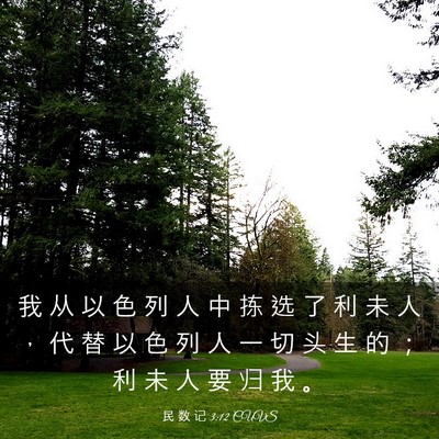 Picture 03 - 民 数 记 3:12 CUVS - 我 从 以 色 列 人 中 拣 选 了 利 未 - Bible Verse Picture