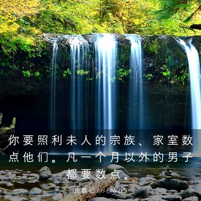 Picture 03 - 民 数 记 3:15 CUVS - 你 要 照 利 未 人 的 宗 族 、 家 室 - Bible Verse Picture