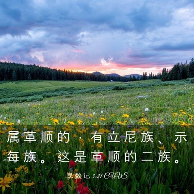 Picture 03 - 民 数 记 3:21 CUVS - 属 革 顺 的 ， 有 立 尼 族 、 示 每 - Bible Verse Picture