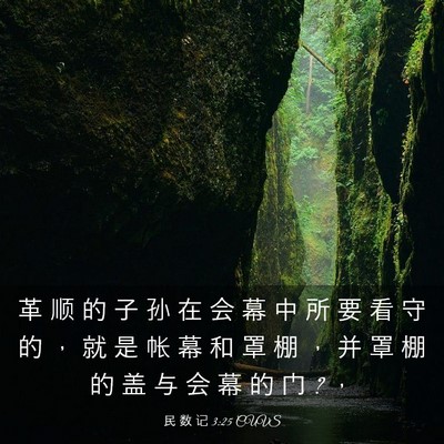 Picture 03 - 民 数 记 3:25 CUVS - 革 顺 的 子 孙 在 会 幕 中 所 要 看 - Bible Verse Picture