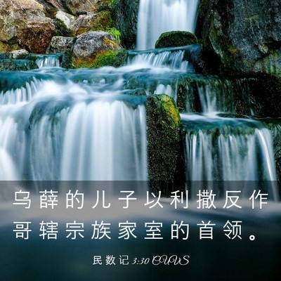 Picture 03 - 民 数 记 3:30 CUVS - 乌 薛 的 儿 子 以 利 撒 反 作 哥 辖 - Bible Verse Picture