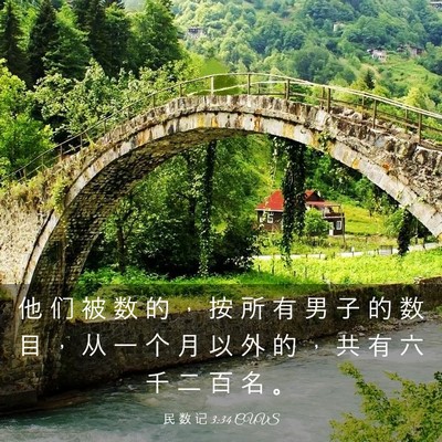 Picture 03 - 民 数 记 3:34 CUVS - 他 们 被 数 的 ， 按 所 有 男 子 的 - Bible Verse Picture