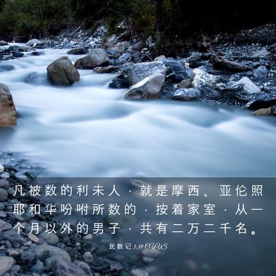 Picture 03 - 民 数 记 3:39 CUVS - 凡 被 数 的 利 未 人 ， 就 是 摩 西 - Bible Verse Picture