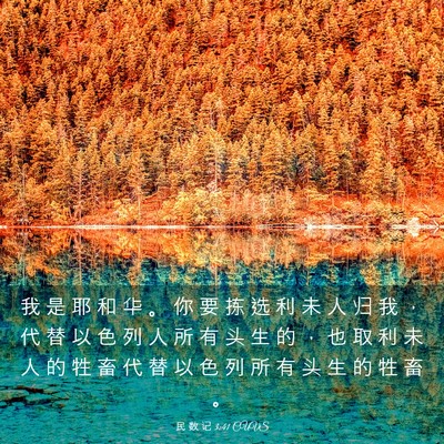 Picture 03 - 民 数 记 3:41 CUVS - 我 是 耶 和 华 。 你 要 拣 选 利 未 - Bible Verse Picture