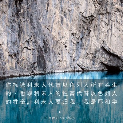 Picture 03 - 民 数 记 3:45 CUVS - 你 拣 选 利 未 人 代 替 以 色 列 人 - Bible Verse Picture