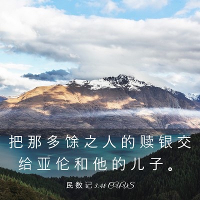 Picture 03 - 民 数 记 3:48 CUVS - 把 那 多 馀 之 人 的 赎 银 交 给 亚 - Bible Verse Picture