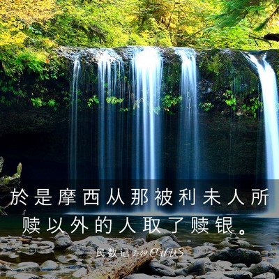 Picture 03 - 民 数 记 3:49 CUVS - 於 是 摩 西 从 那 被 利 未 人 所 赎 - Bible Verse Picture