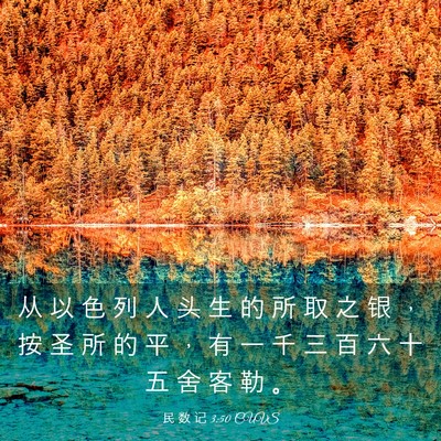 Picture 03 - 民 数 记 3:50 CUVS - 从 以 色 列 人 头 生 的 所 取 之 银 - Bible Verse Picture