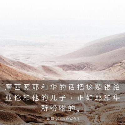 Picture 03 - 民 数 记 3:51 CUVS - 摩 西 照 耶 和 华 的 话 把 这 赎 银 - Bible Verse Picture