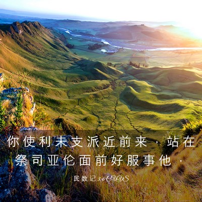Picture 03 - 民 数 记 3:6 CUVS - 你 使 利 未 支 派 近 前 来 ， 站 在 - Bible Verse Picture