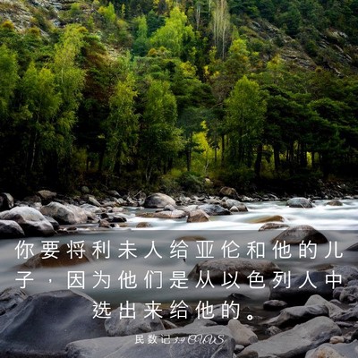 Picture 03 - 民 数 记 3:9 CUVS - 你 要 将 利 未 人 给 亚 伦 和 他 的 - Bible Verse Picture