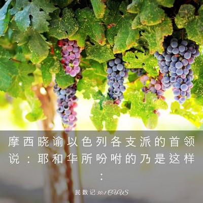 Picture 03 - 民 数 记 30:1 CUVS - 摩 西 晓 谕 以 色 列 各 支 派 的 首 - Bible Verse Picture