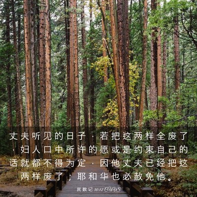 Picture 03 - 民 数 记 30:12 CUVS - 丈 夫 听 见 的 日 子 ， 若 把 这 两 - Bible Verse Picture