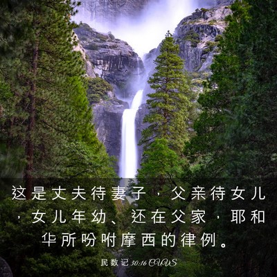 Picture 03 - 民 数 记 30:16 CUVS - 这 是 丈 夫 待 妻 子 ， 父 亲 待 女 - Bible Verse Picture