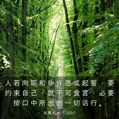 Picture 03 - 民 数 记 30:2 CUVS - 人 若 向 耶 和 华 许 愿 或 起 誓 ， - Bible Verse Picture